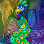G4K Exquisite Peacock Escape Game